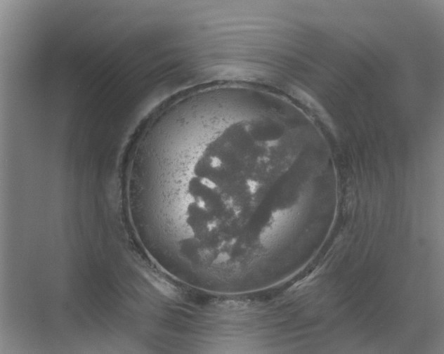 X0000072971027200607282316