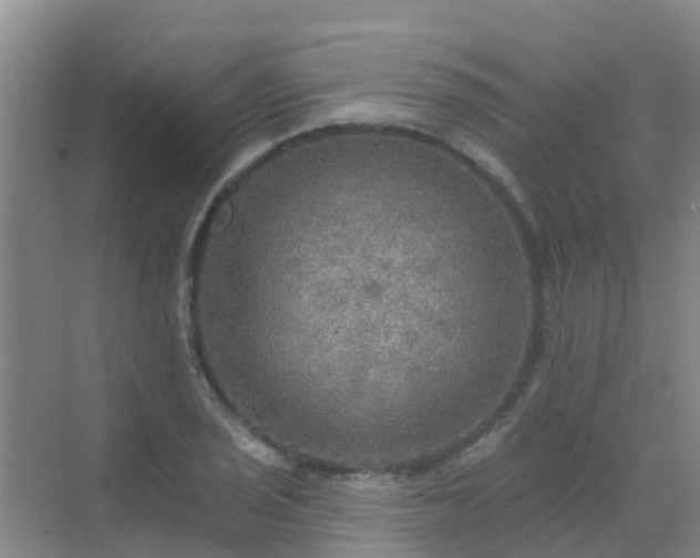 X0000072971029200607282316