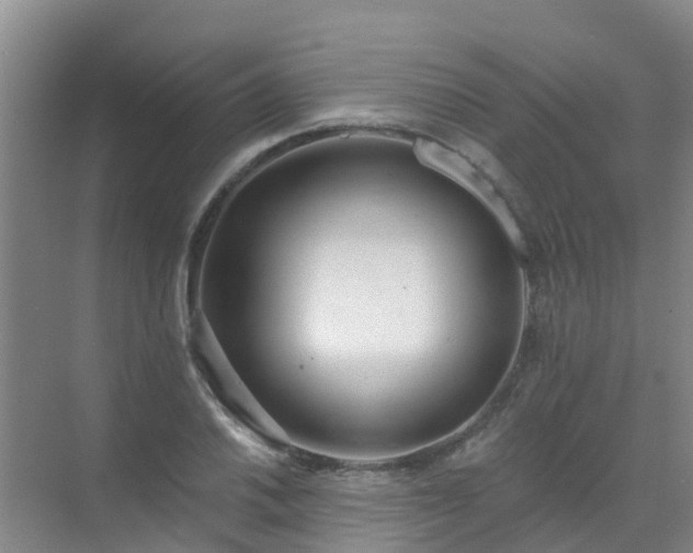 X0000072971030200607282316