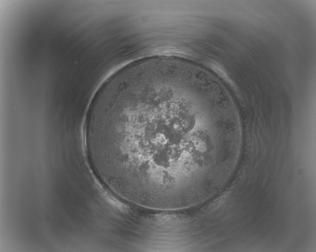 X0000072971032200607282316