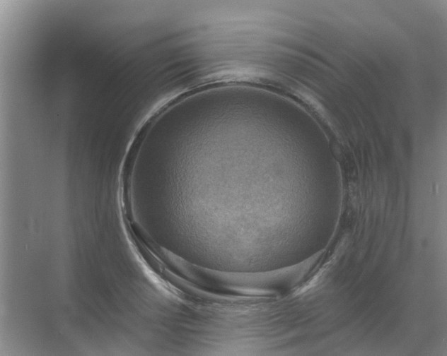 X0000072971034200607282316