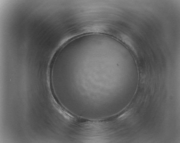 X0000072971035200607282316