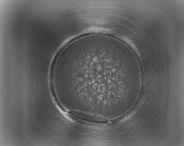 X0000072971037200607282316