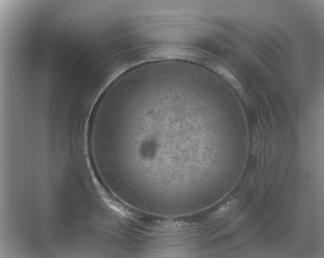 X0000072971039200607282317