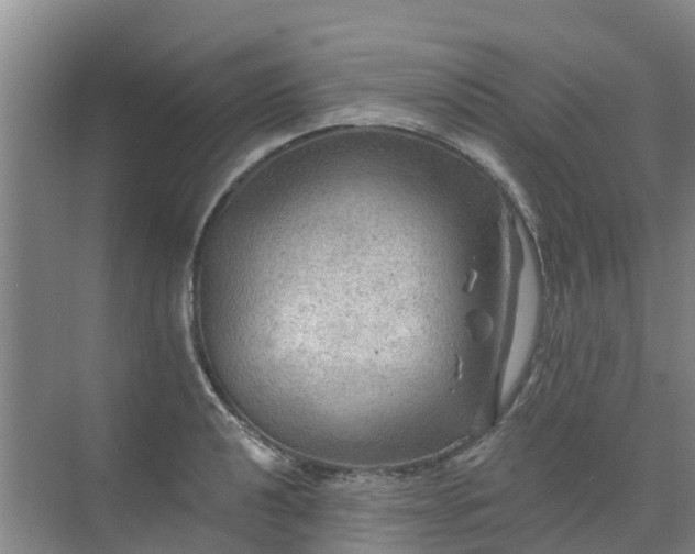 X0000072971040200607282317