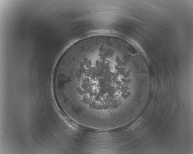 X0000072971043200607282317