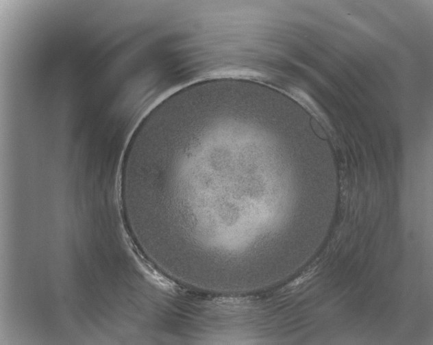 X0000072971044200607282317