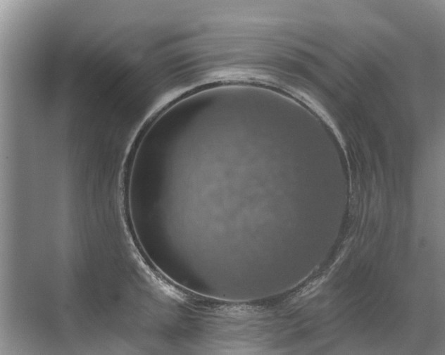 X0000072971045200607282317