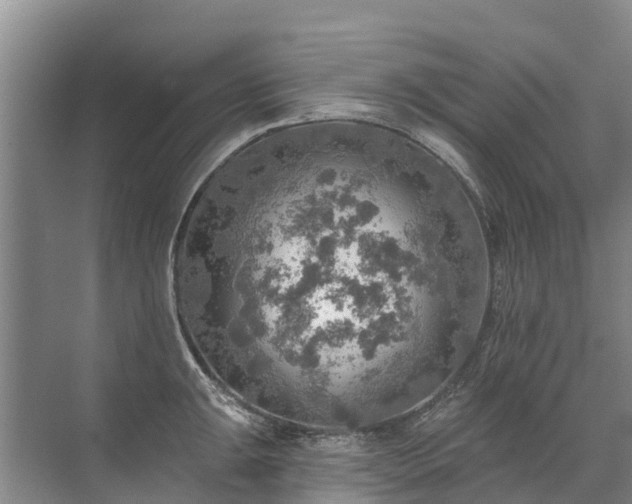 X0000072971047200607282317