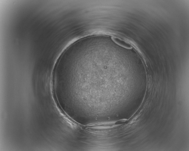 X0000072971048200607282317