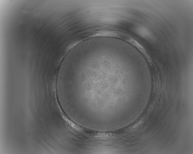 X0000072971049200607282317