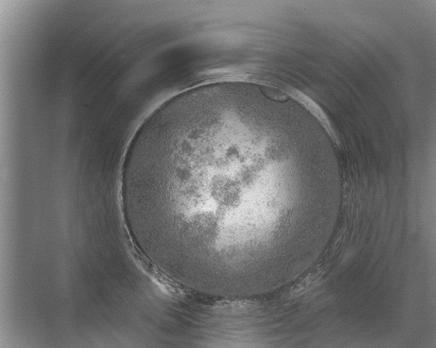 X0000072971051200607282317