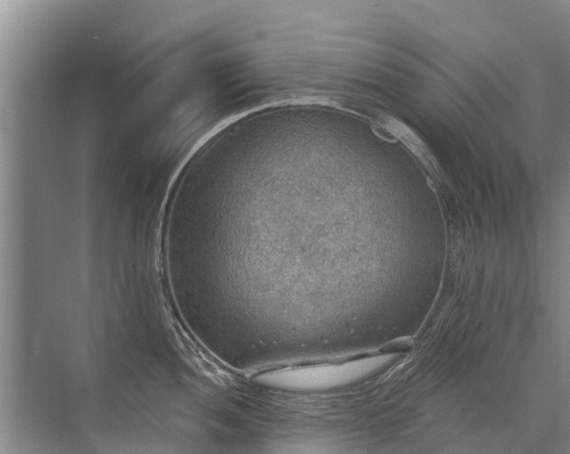 X0000072971052200607282317