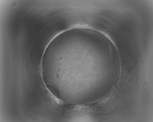 X0000072971056200607282317