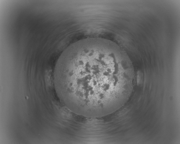 X0000072971059200607282316