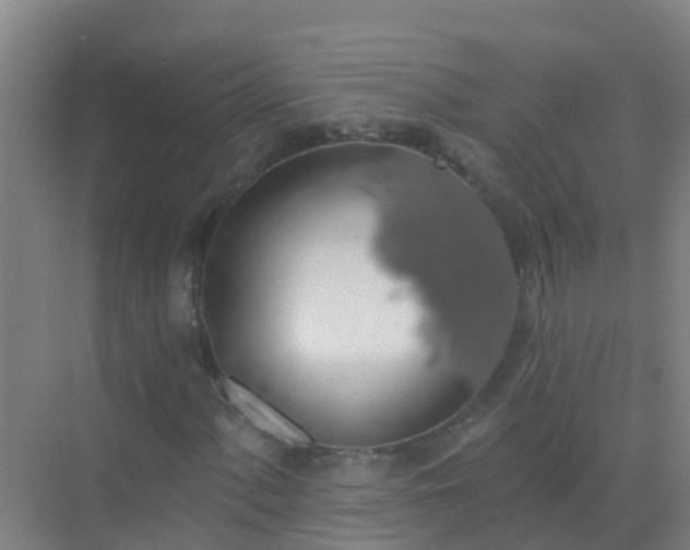 X0000072971060200607282316