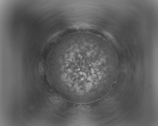 X0000072971063200607282316