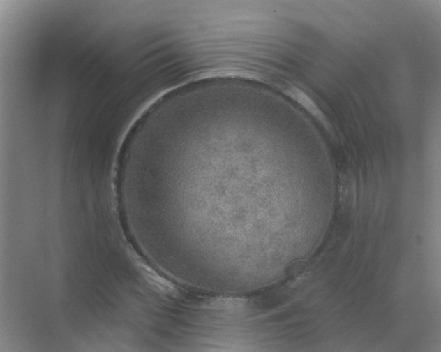 X0000072971068200607282316