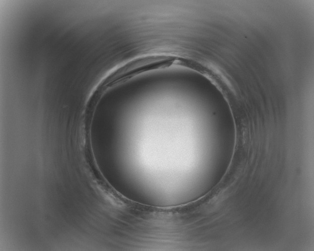 X0000072971069200607282316