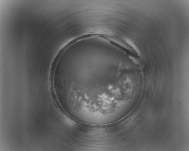 X0000072971071200607282316