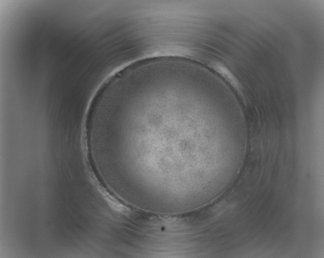 X0000072971072200607282316