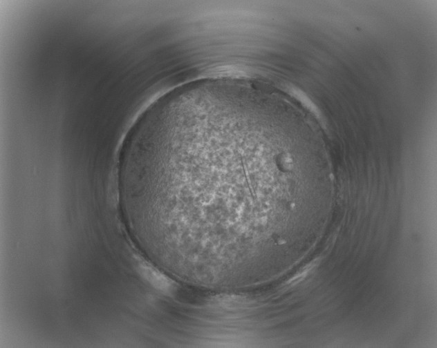 X0000072971075200607282316