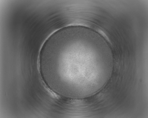 X0000072971076200607282316