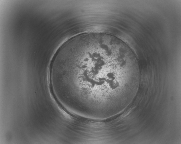 X0000072971083200607282316