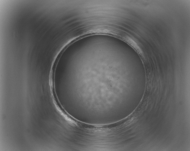 X0000072971084200607282316