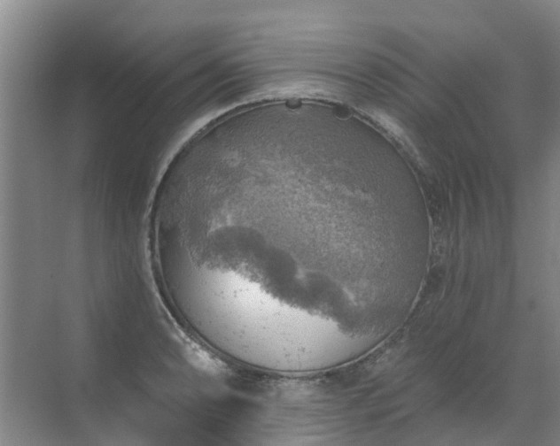 X0000072971086200607282316