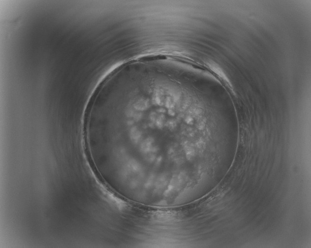 X0000072971087200607282315