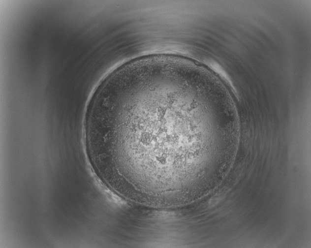 X0000072971088200607282315