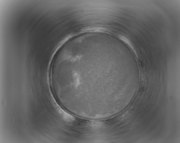 X0000072971090200607282315