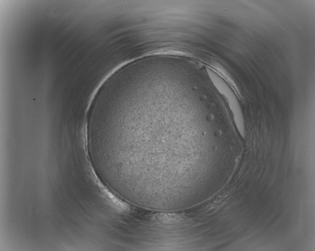 X0000072971092200607282315