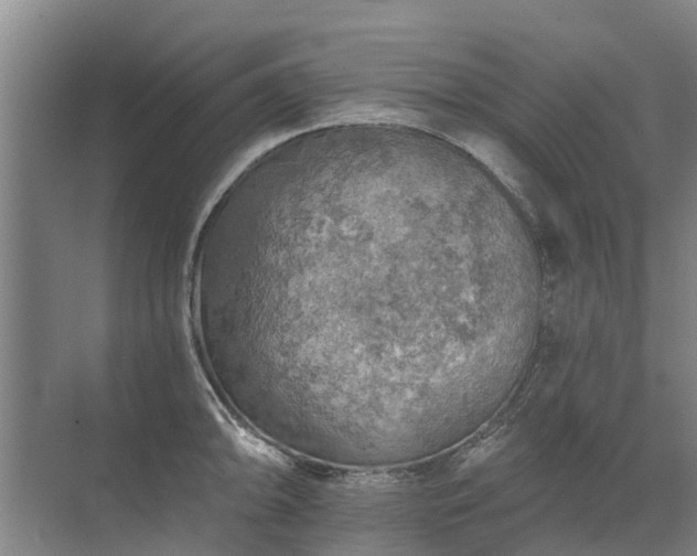 X0000072971094200607282315