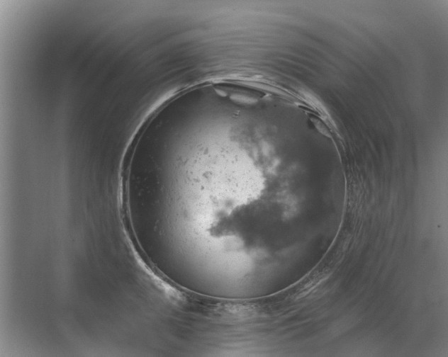 X0000072971095200607282315