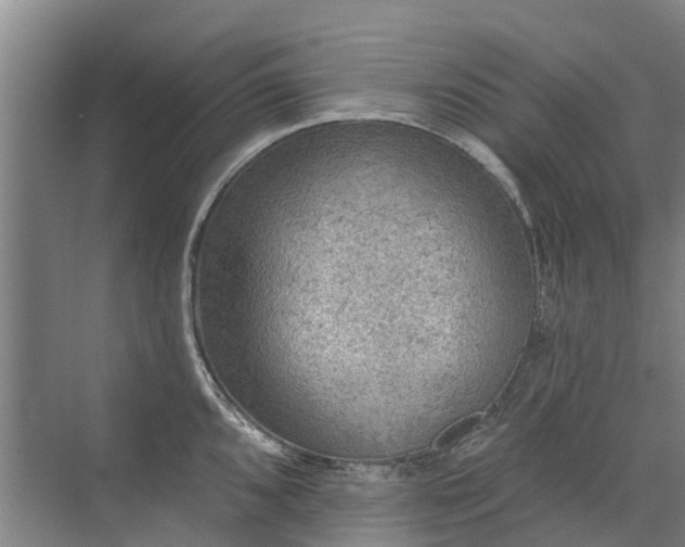 X0000072971096200607282315