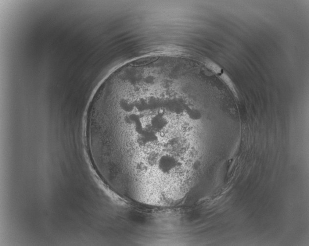 X0000072971099200607282315