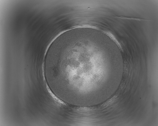 X0000072971100200607282315