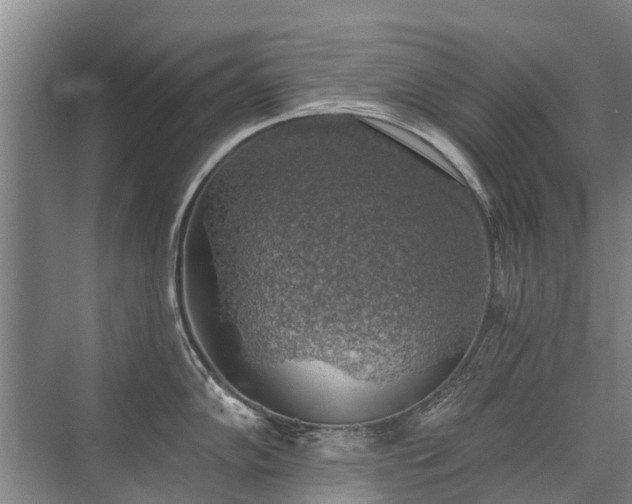 X0000072971102200607282315