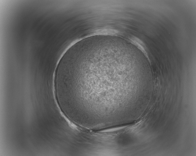 X0000072971103200607282315