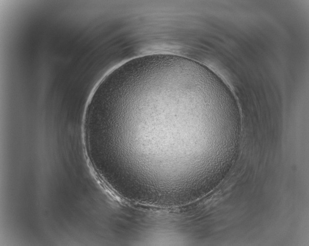 X0000072971104200607282315