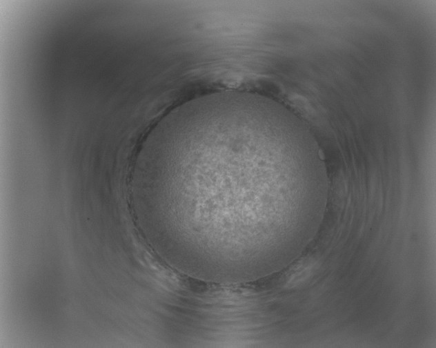 X0000072971105200607282314