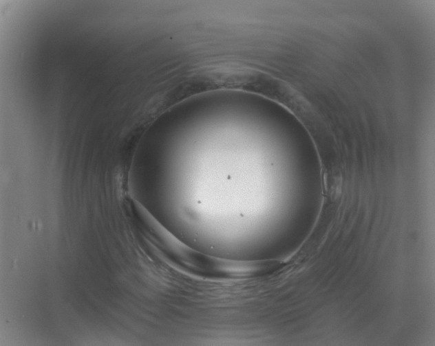 X0000072971108200607282314