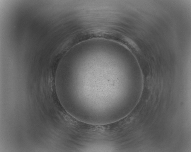 X0000072971111200607282315