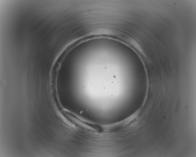 X0000072971116200607282315