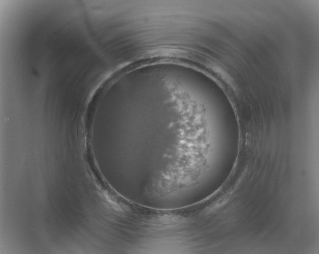 X0000072971117200607282315