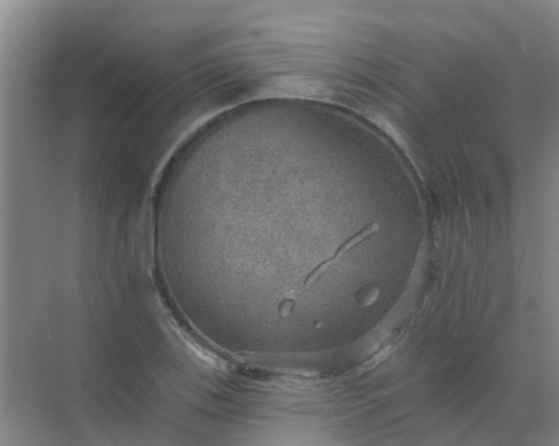 X0000072971123200607282315