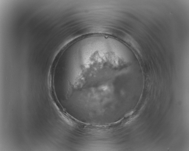 X0000072971125200607282315