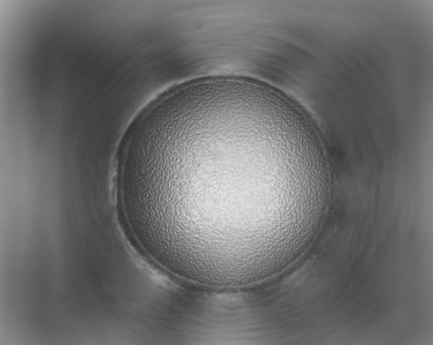 X0000072971126200607282315